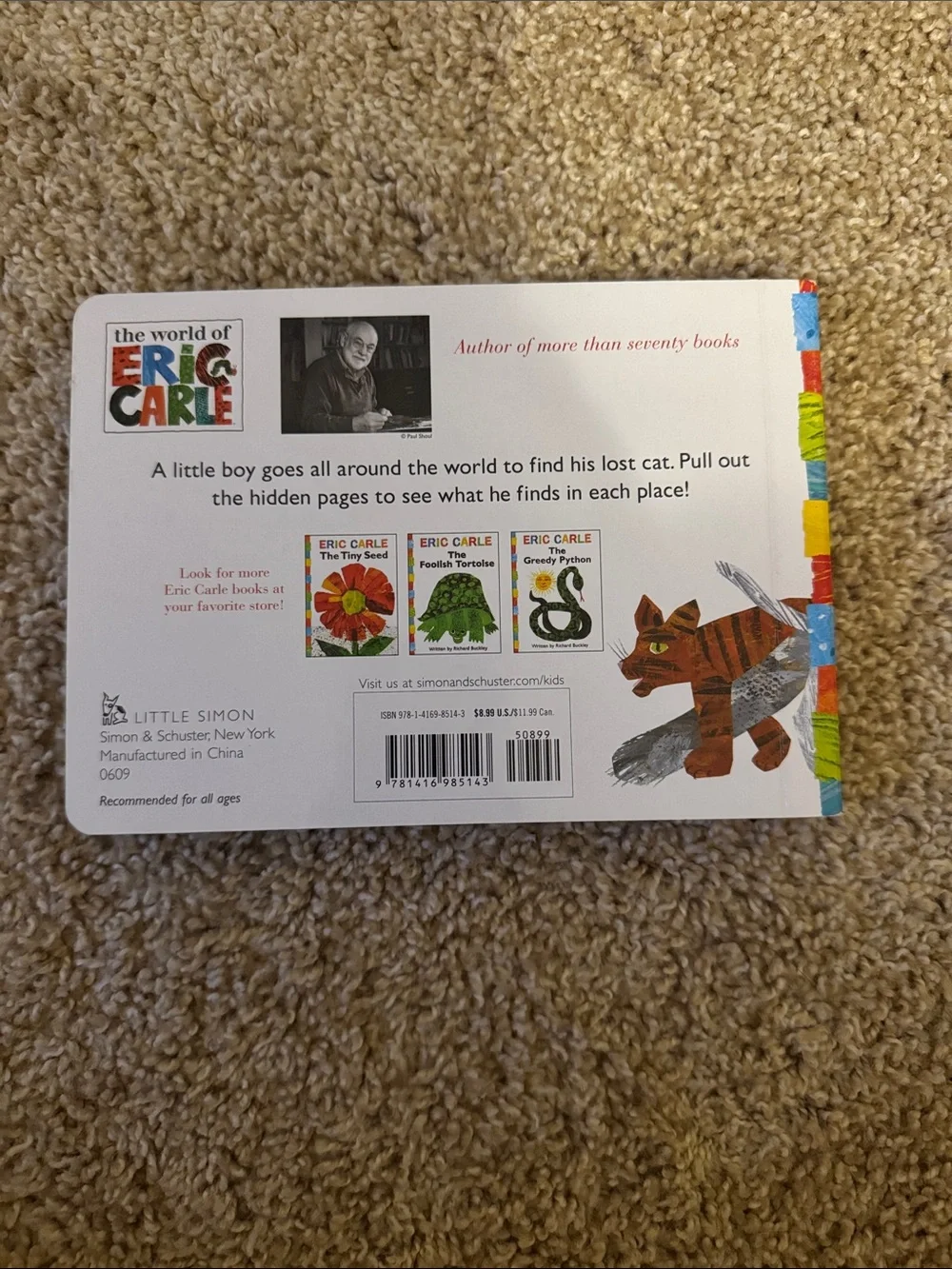 Have You Seen My Cat? Board Book - Multicolor